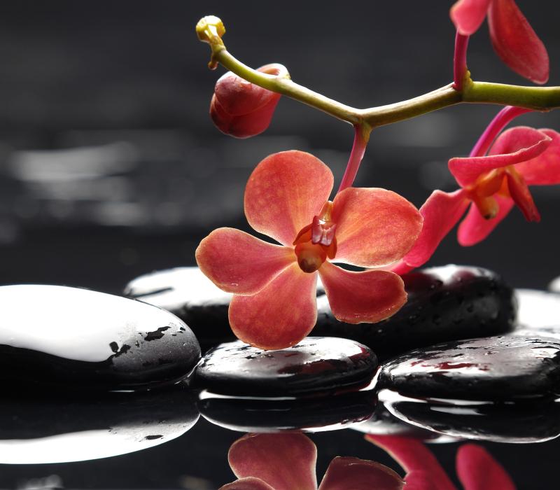 12-de ziekte van crohn