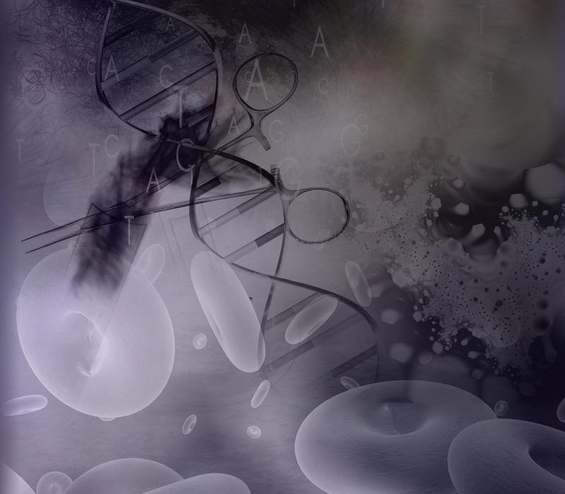 13-schildklieraandoeningen