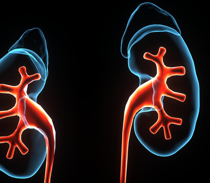 33-chronische nierziekten