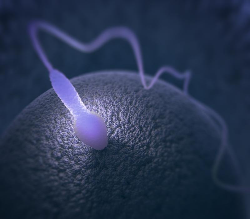 45-mannelijke onvruchtbaarheid