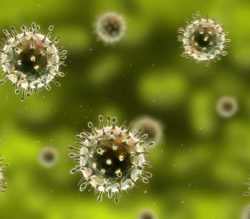 9-griep en veerkoudheid