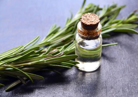 rozemarijn; alzheimer