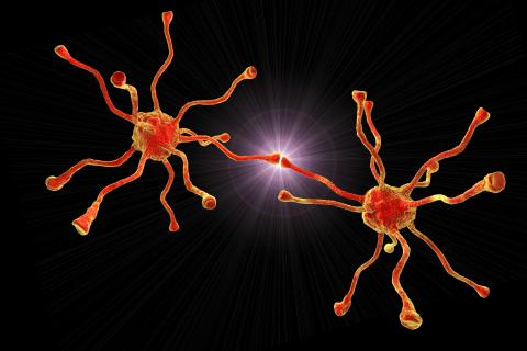 epilepsie; neurologisch