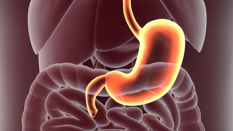 foliumzuur; folaat; maagkanker