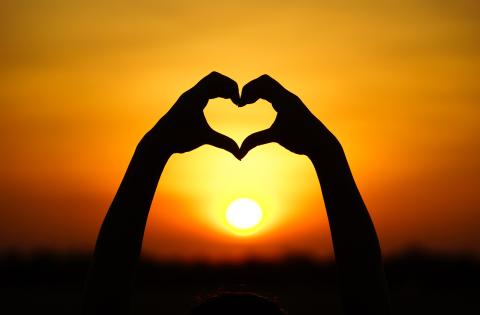 zonlicht; hart- en vaatziekten