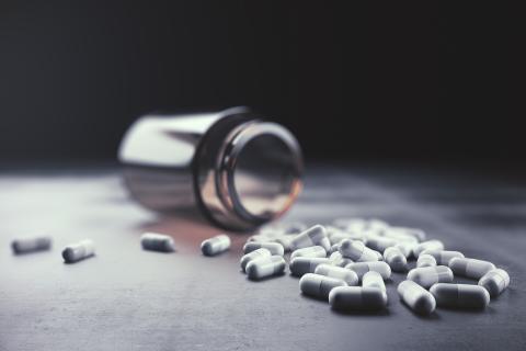 probiotica; antibiotica