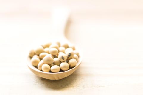soja; gefermenteerde sojaproducten