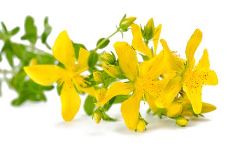 sint-janskruid; depressie