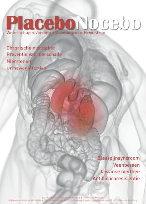 cover afbeelding pn33